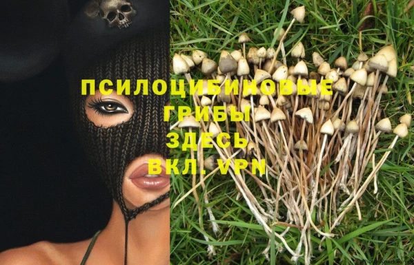 молекула духа Беломорск