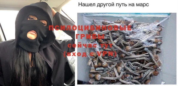 молекула духа Беломорск